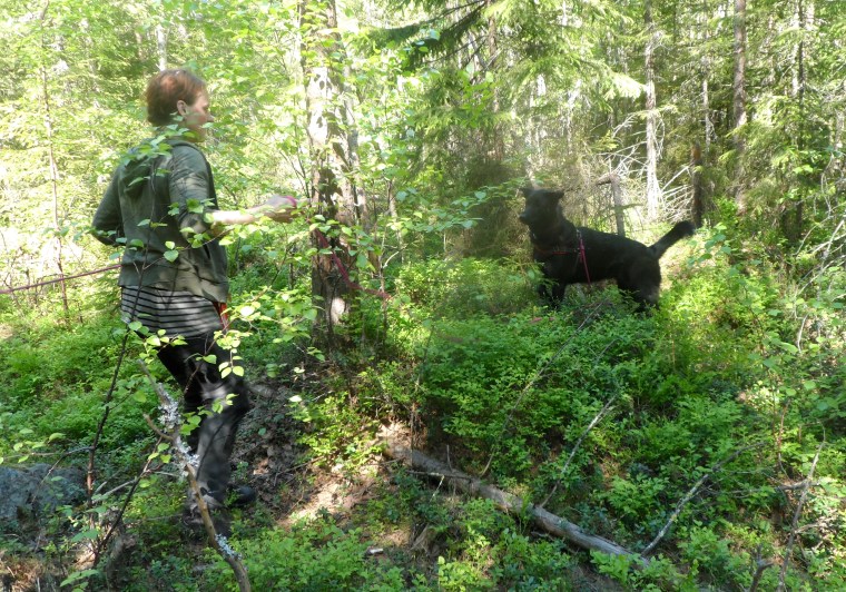 Jag och Snora fick ett tapp i djungeln. Då ser det ut så här.