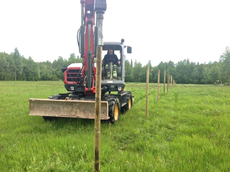Joakim Östensson i Yttervik slog ned alla stolparna.