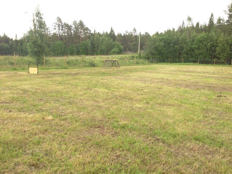 Nyklippt och fint, i alla fall halva RackArenan.