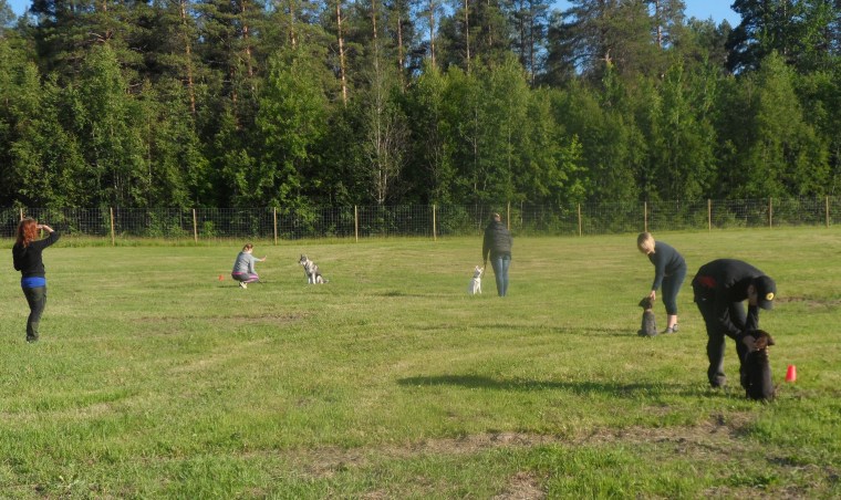 Det är en härlig grupp att jobba med. Vi kommer att nå långt.