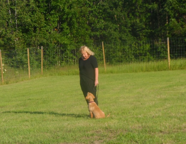 Susanne Degerman och Ally tränar kontaktövningar.