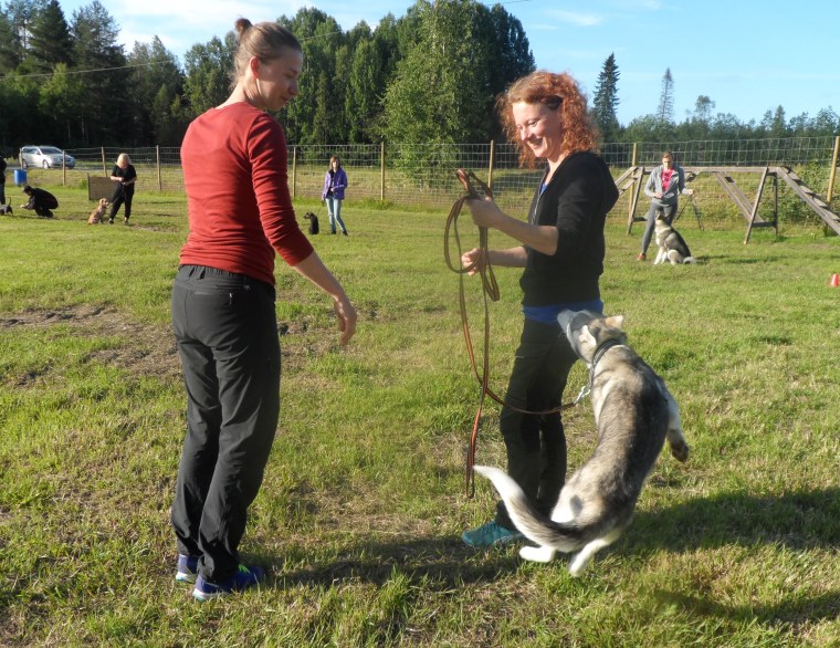 Här ska vi träna inkallning. Jag agerar stolpe så får hundägaren gå iväg en bit och ropa in.