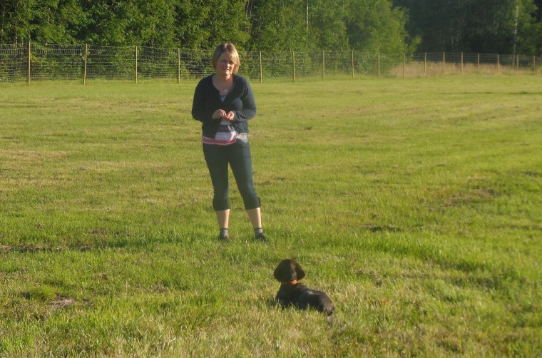 Johanna Åkerlund och strävhåriga vorstehn Märta klarade ligg stanna kvar på ett bra sätt.