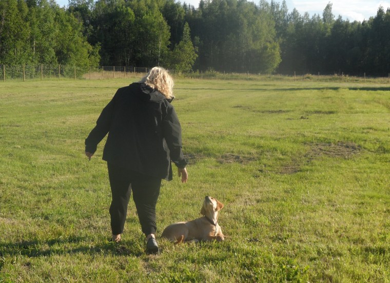 Susanne Degerman och golden retrievern Ally tränade på ligg stanna kvar medan matte gick ett varv runt.