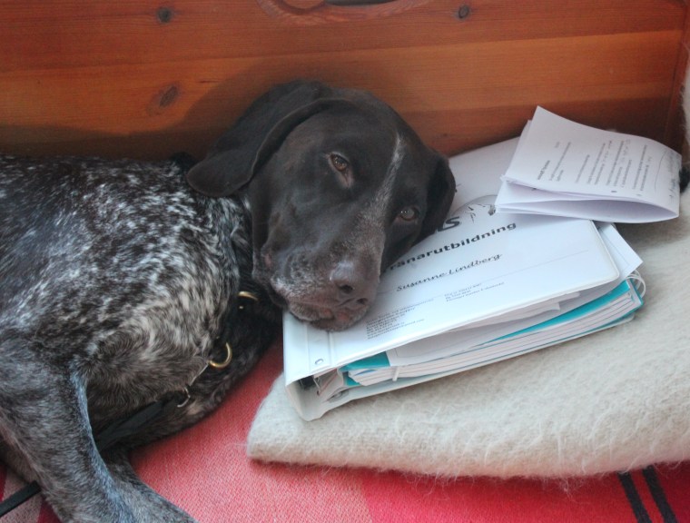 Det tar på att vara på klickerträff tycker Hagel.