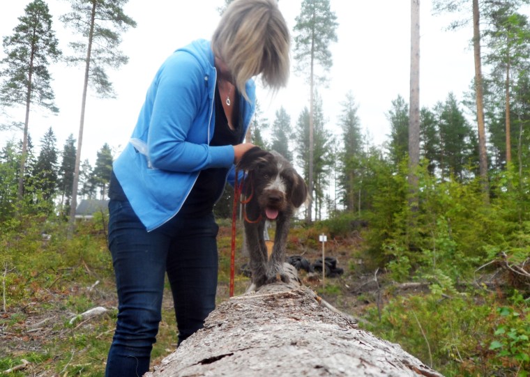Johanna Åkerlund och strävhåriga vorstehn Märta tränade upp balansen.