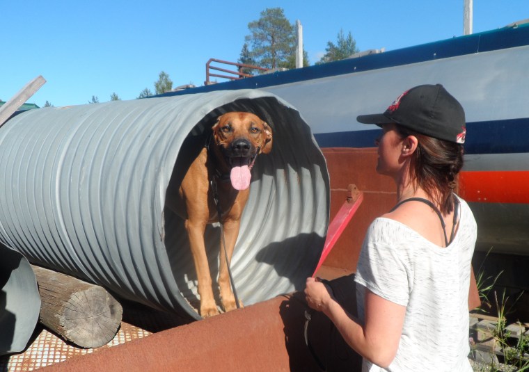 Affe och Annika Nilsson tränar Rambo.