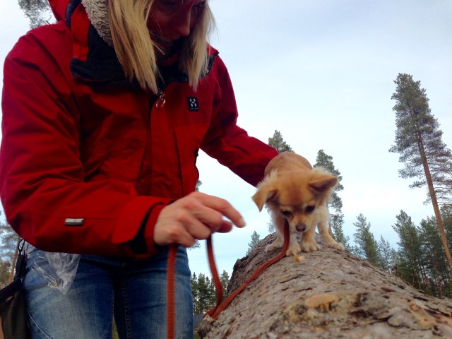 Här balanserar Sally på stockarna.
