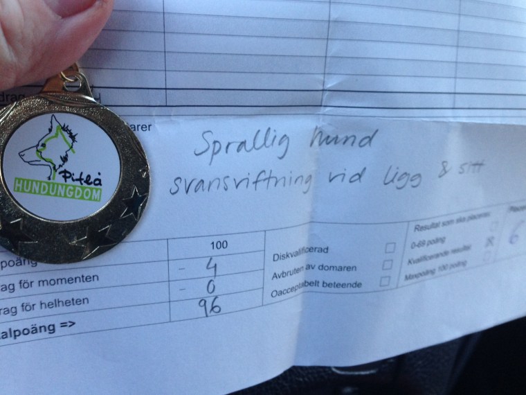 Så roligt att få så fina poäng!