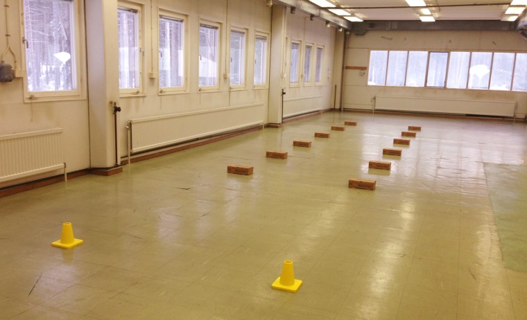 Den här synen möter de nervösa hundförarna.