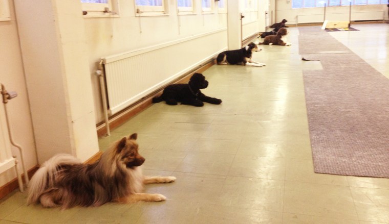 Platsliggningen börjar fungera för de flesta.