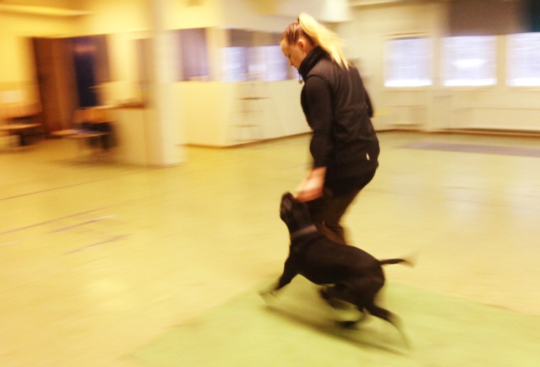 Språng marsch under linförigheten går bara fint för Julia och staffen Theo.