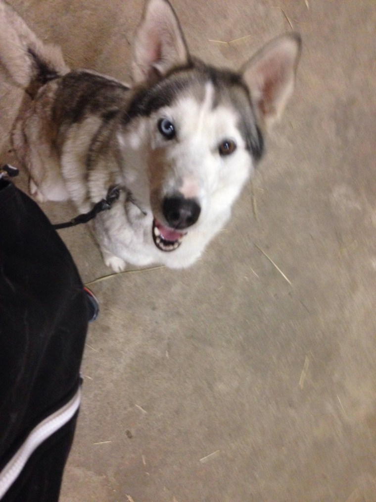 Flinga är redo för start.