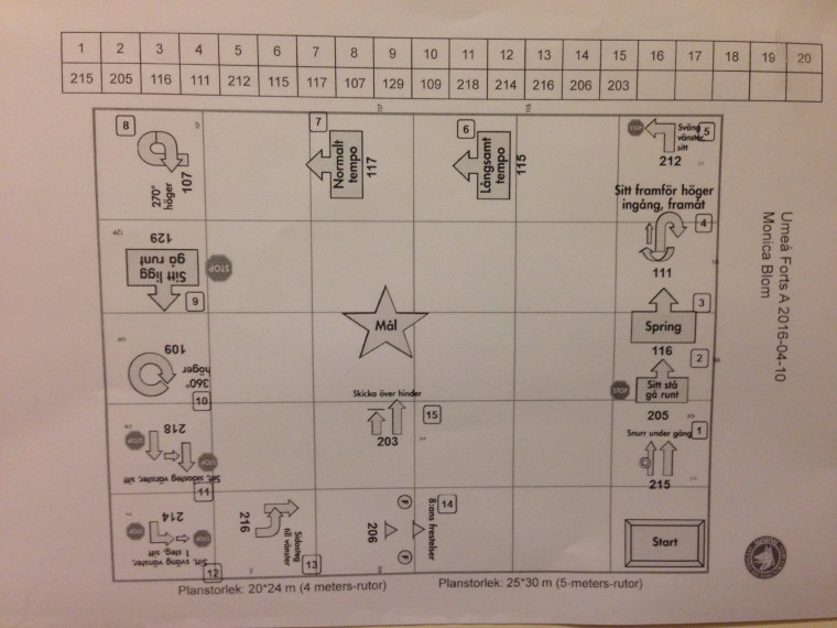 Så här såg första banan ut i fortsättningsklass.
