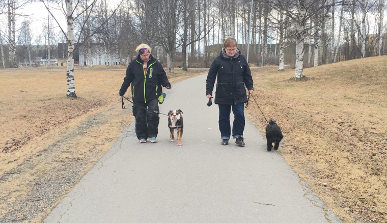 Helen och Gino, Ulla och Cello.