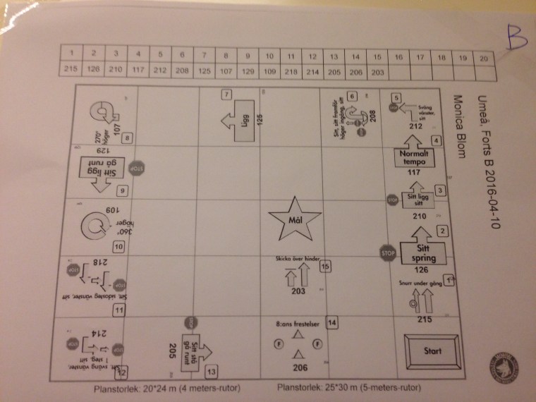 Så här såg en av banorna ut i fortsättningsklass.