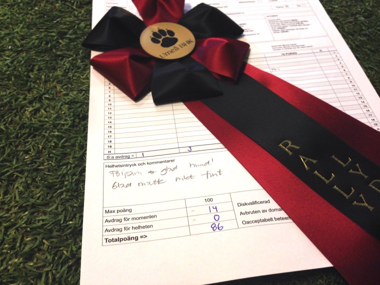 Det blev tredjeplats och rosett efter Hagels första runda.