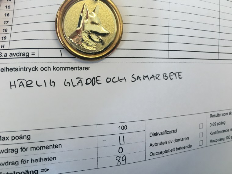 Så här slutade min och Hagels runda.