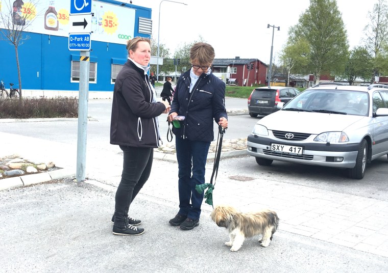 Titta så nära den här personen kan stå och tappa sina godbitar. Hon är noga med att inte titta på Nelly, bara prata med Britt-Marie.