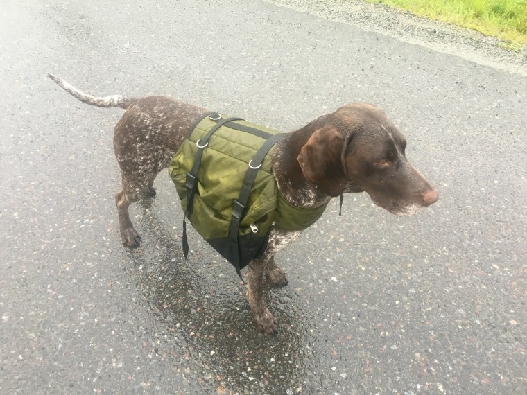 Hagel fick hänga med på löprundan med lätt vikt i klövjeväskan.
