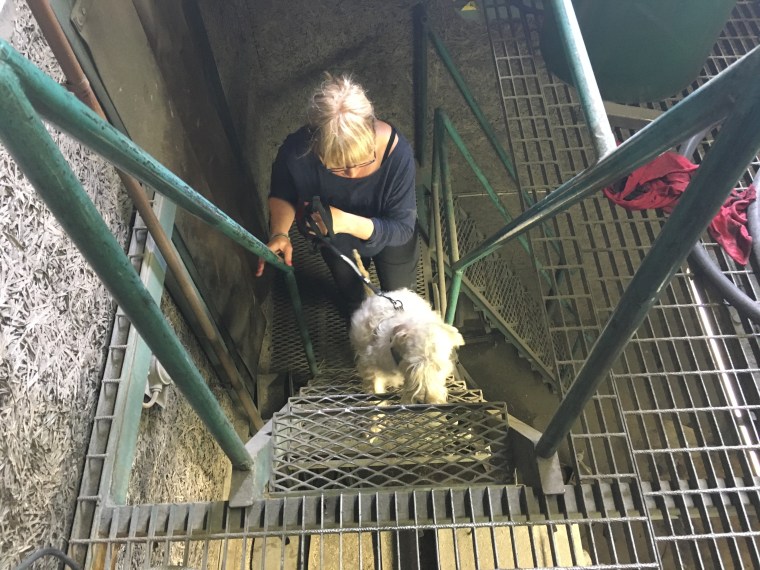 Anna och softisen Jazza.