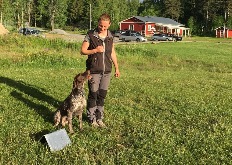 Högerhandling i fokus. 