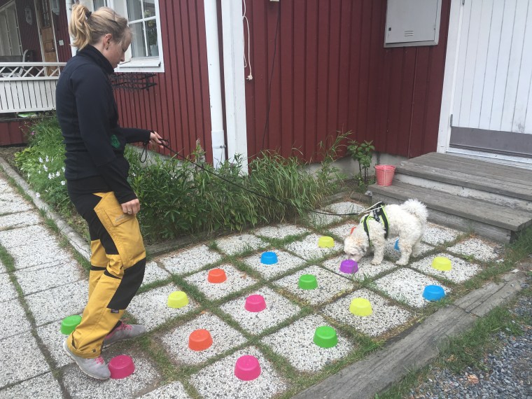 Här kör Sara och Frost ett av de två behållarsöken.