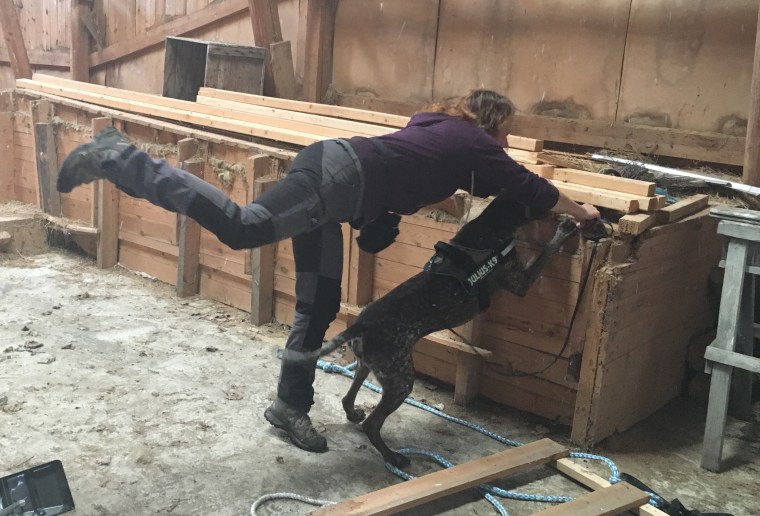 Här går det undan! Jag ska snabba mig att belöna Hagel precis vid doftkällan.