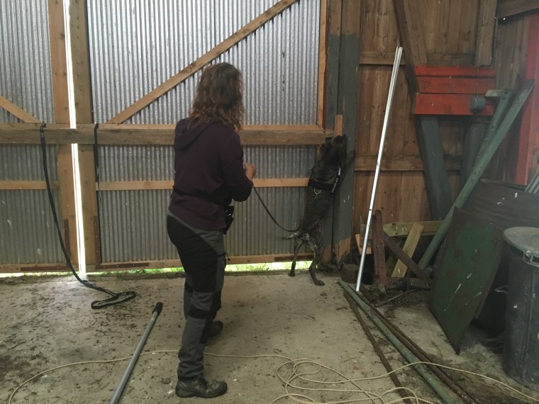 Här hittar Hagel en hög gömma.