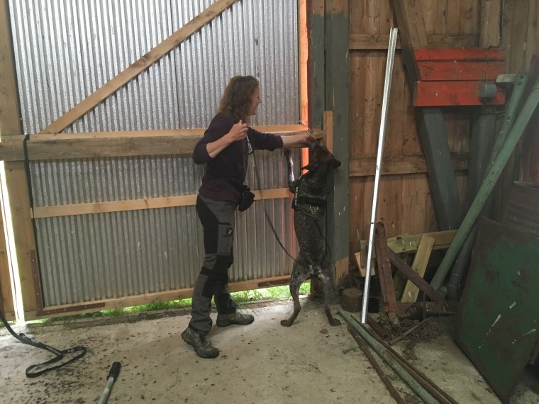 Jag belönar vid doftkällan.