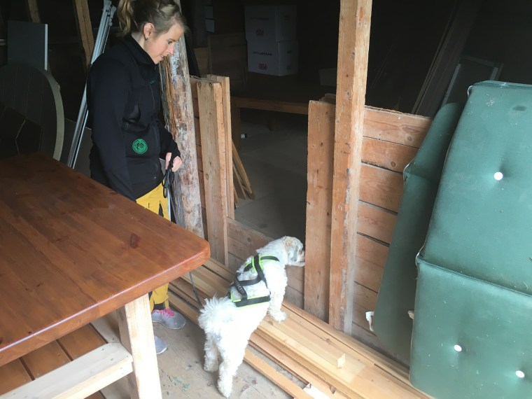 Frost och Sara söker i logen.