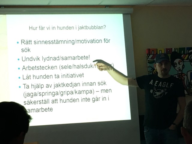 Olika sätt att hjälpa hunden att komma in i jaktbubblan.