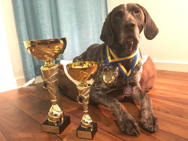 Hagel har installerat sig på hotellrummet med några av sina priser =)