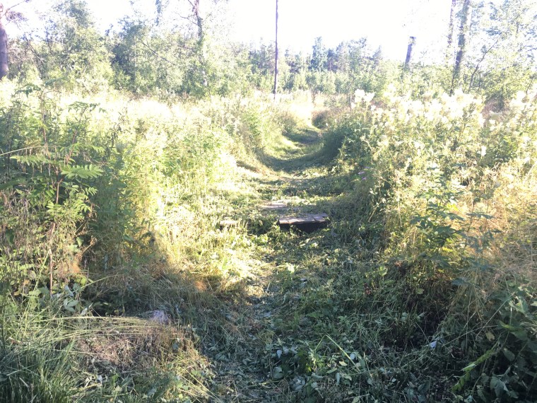 Här runt de vickiga dörrarna var det riktigt mycket brännässlor.