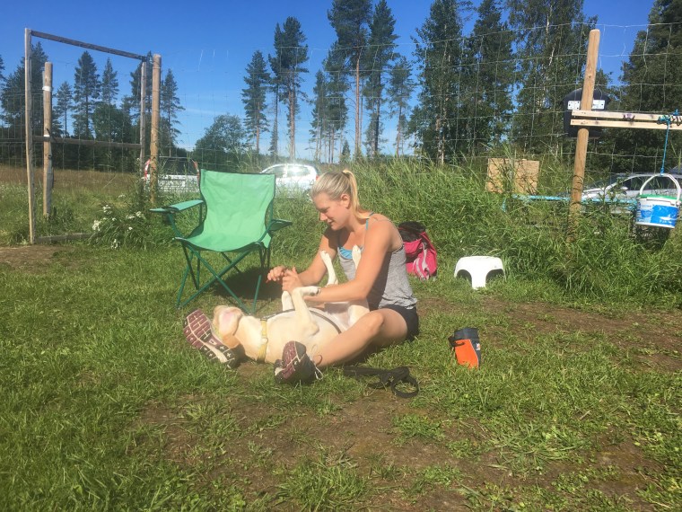 Lugn och fin kloklippning.