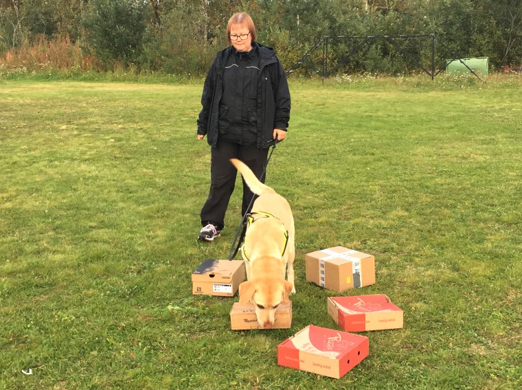 Helenas retrieverblandning gillade godis =)