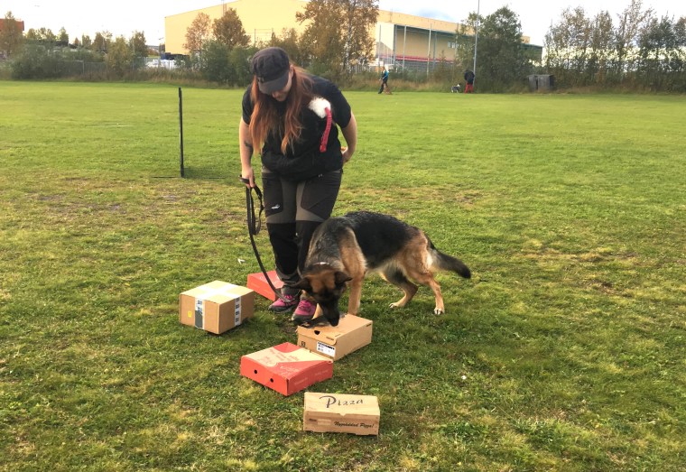 Linda och hennes schäfer jobbade fint.