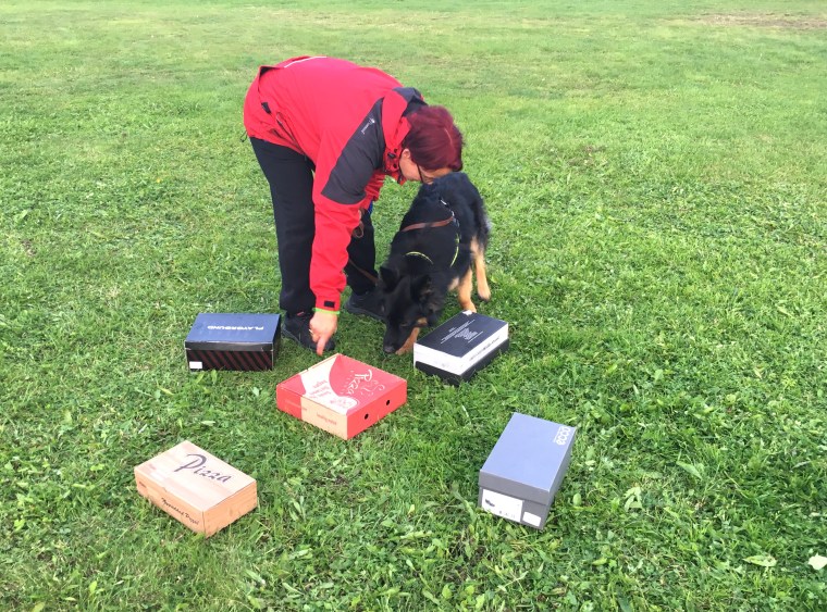 Wenche och hennes chodsky pez kämpade väl.