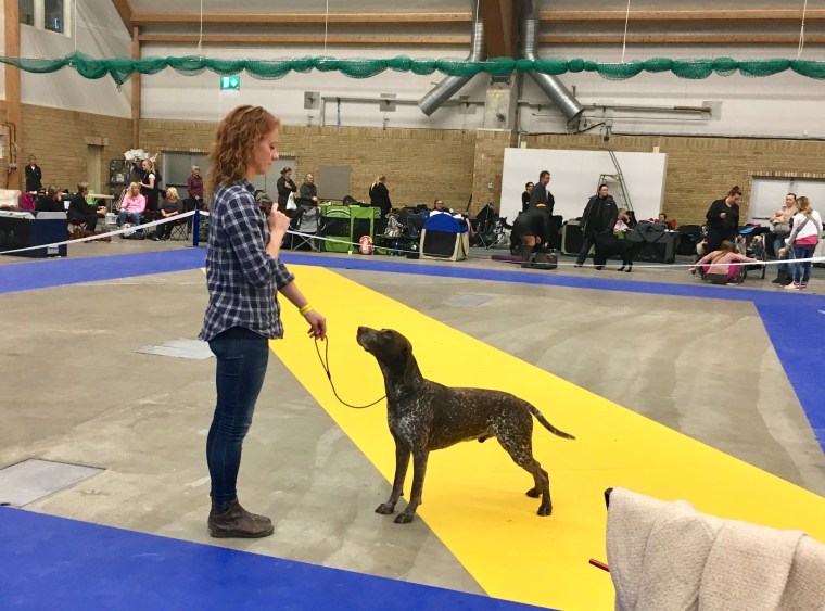 Jag och Hagel i ringen.
