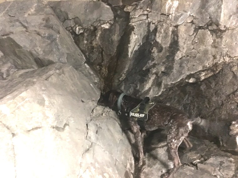 Och i berget satt det en gömma.