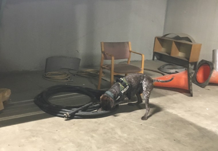 Här var en annan gömd.