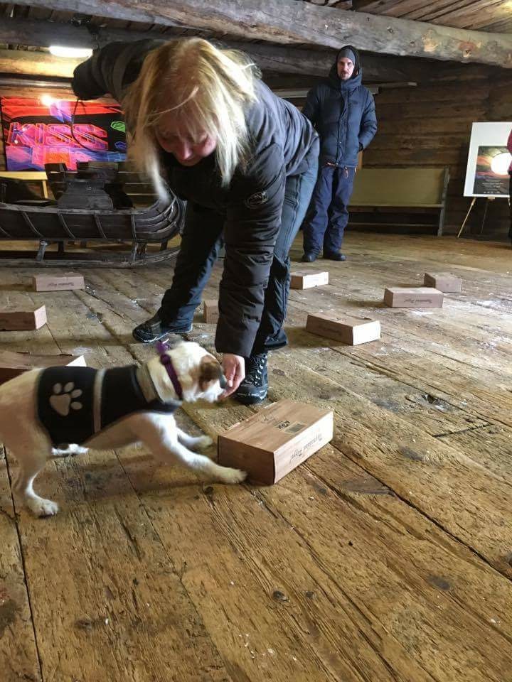 Catrin och Compis kör behållarsök.