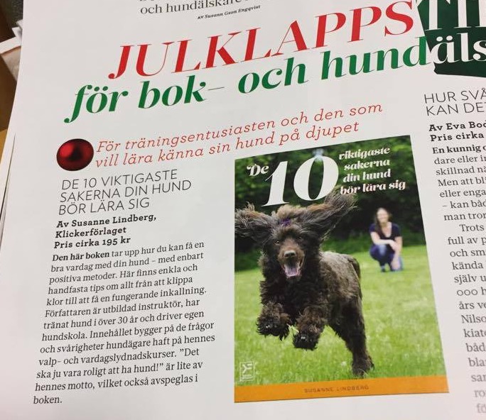 Recension i Härliga Hund.